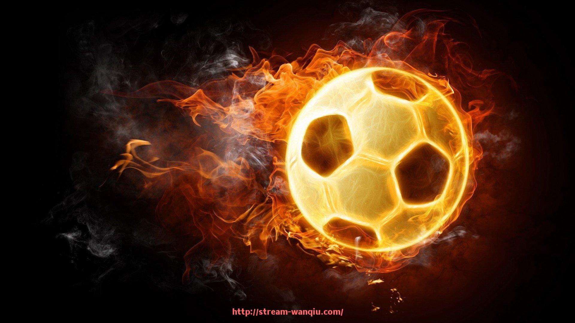 玩球直播-健身器材的用法:正确使用各类健身器材的技巧